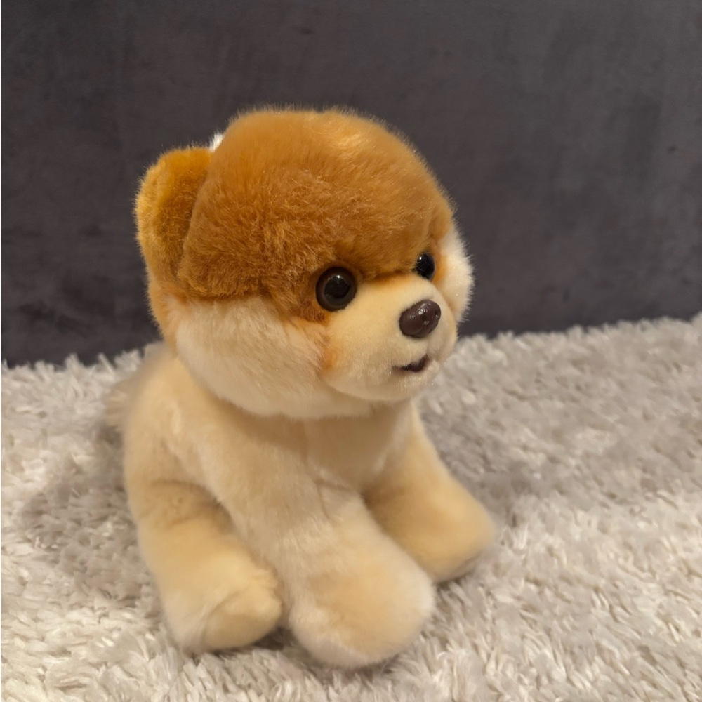 Adorable Boo World’s Cutest Dog Toy